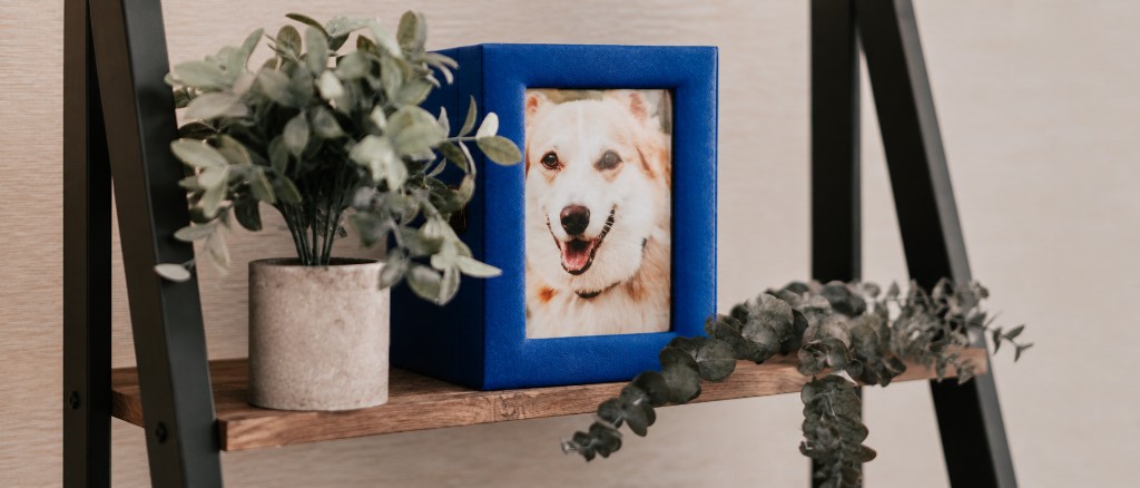 Blue photobox urn with a pet portrait — Precious Paws aquamation memorial